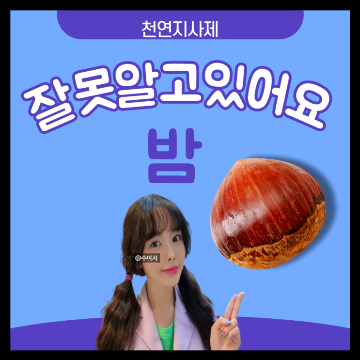  밤 효능 부작용 칼로리 먹으면 안되는 사람 밤의효능