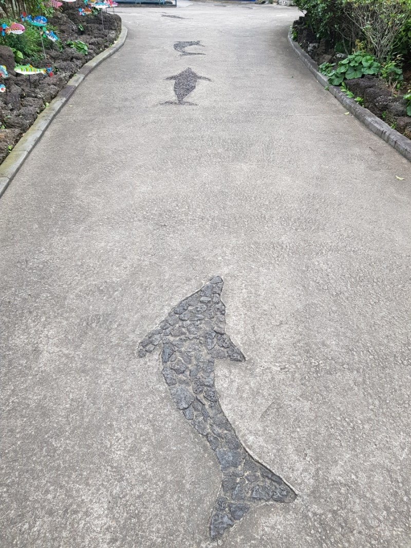 제주/성산읍] 제주해양동물박물관 : 네이버 블로그, image size:800x1067