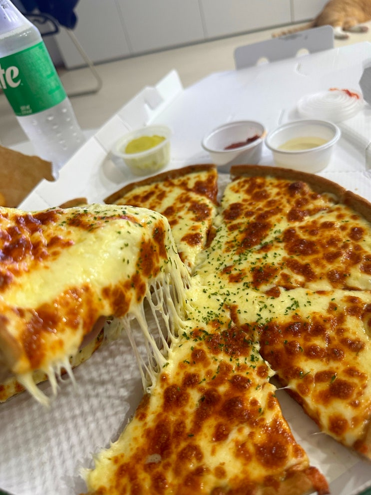 [피자마루] 파주 주내 맛집 고소하고 쫄깃한 치즈 폭탄 피자