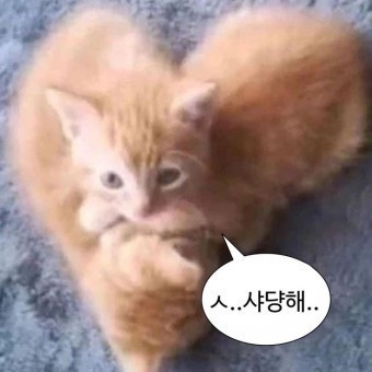  추석 연휴 이후 근황올림픽