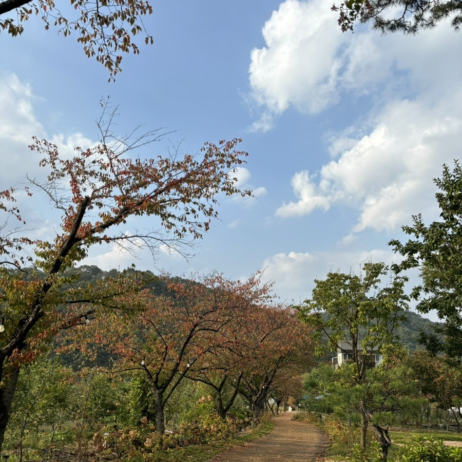 롤링핀 덕천418점 사진 6