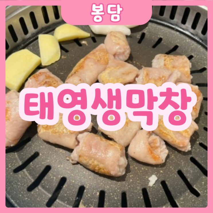  [화성|봉담] 태영생막창 | 막창러버들 모여라! 봉담 막창집 추천! 무조건 가보세요!