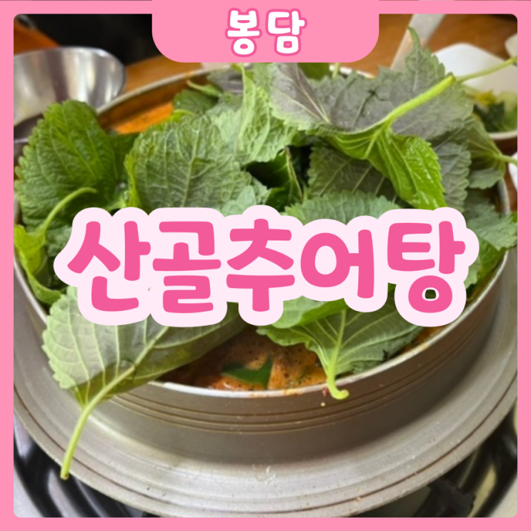  [화성|봉담] 산골추어탕 | 나만 알고싶은 봉담 찐찐찐 어죽 맛집!!!
