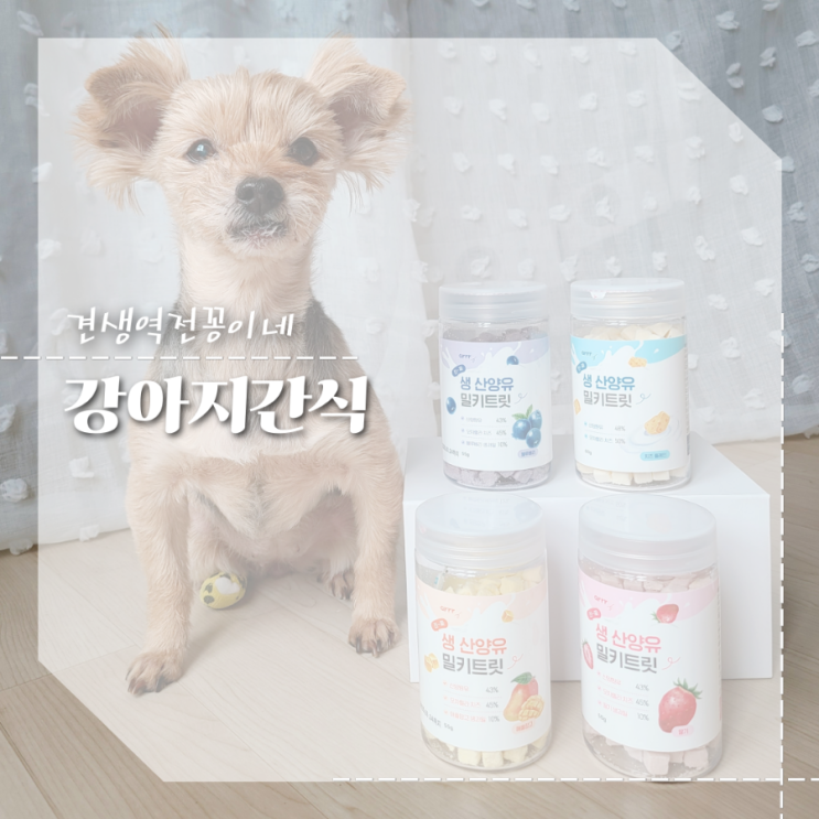  강아지 동결건조간식 추천 아르르 산양유 밀키트릿 노견간식