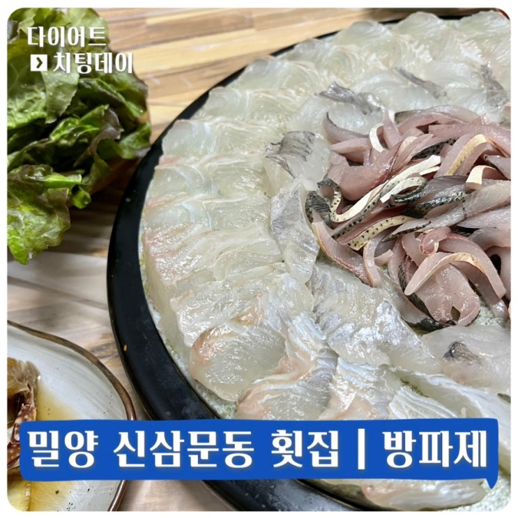  밀양 횟집｜신삼문동 맛집｜명절에 가족 식사하기 좋은 방파제 솔직후기