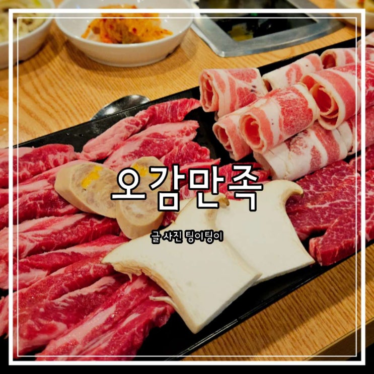  화정 고기집 소고기가 맛있는 오감만족 친절함도 최고