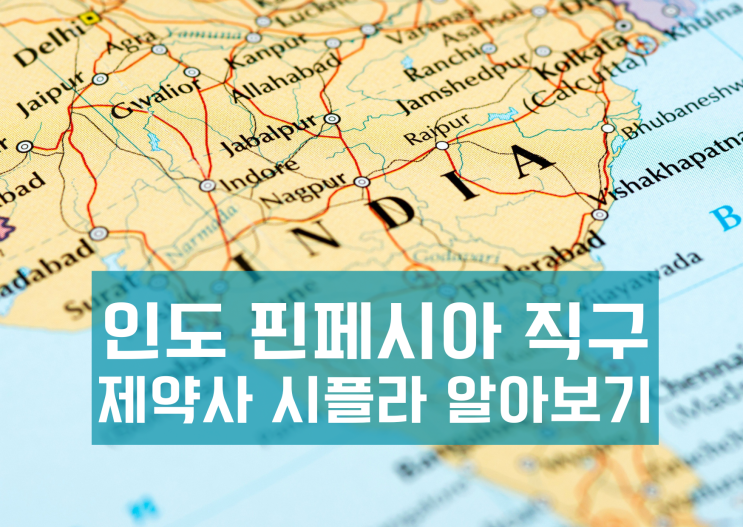  인도 핀페시아 직구 제약사 시플라