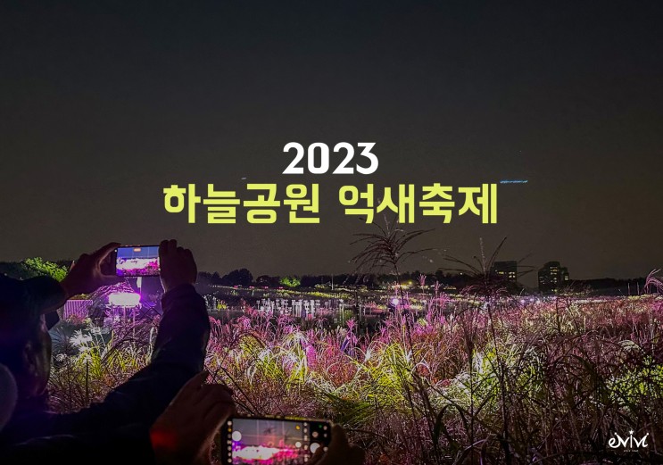 서울 억새 하늘공원 억새축제 행사일정 정보 및 후기 (서울 가을 나들이 가볼만한곳)