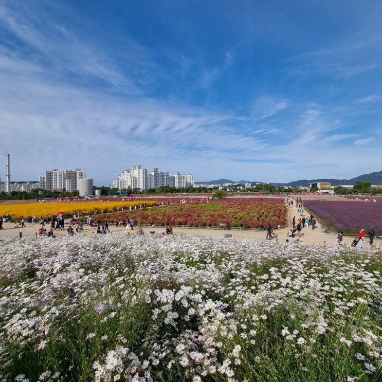  새로운 먹템 찾음 / 양주 나들이(양주 나리공원 주말 방문)