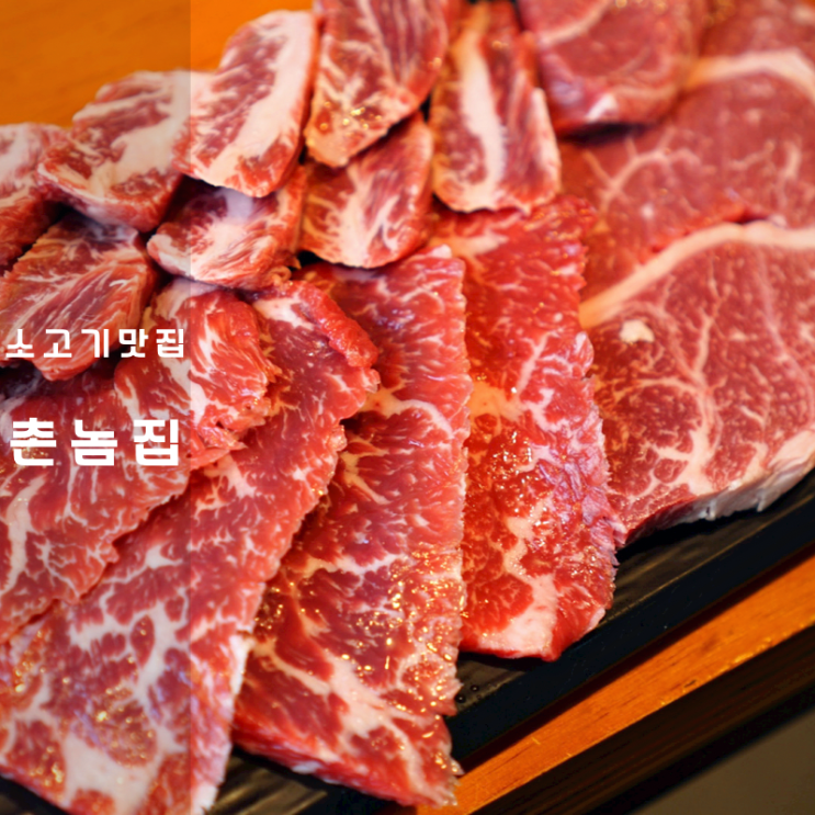  동탄 센트럴파크 맛집 개나리공원 촌놈집 소고기 구이