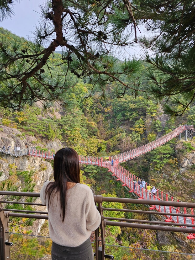  거창 가볼 만한 곳 우두산 Y자 출렁다리 거창 여행