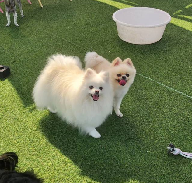 사진 3