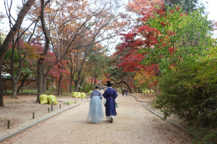 명소 서울 근교 <b>경기도</b> 천안<b>독립기념관</b>단풍나무숲길,외 5곳