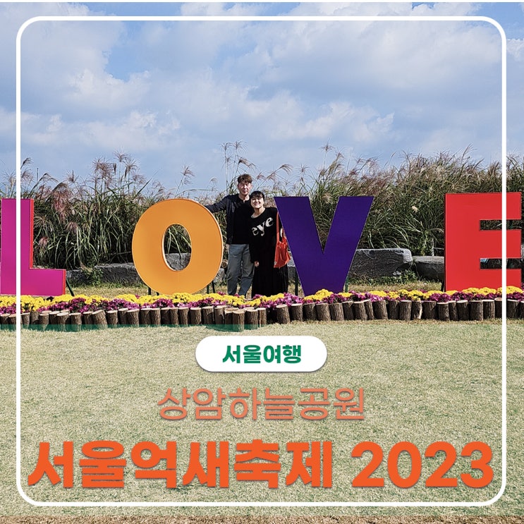  가을 인생샷 명소 하늘공원 억새축제 2023 10월3주 억새절정을 볼 수 있어요(서울 정원박람회도 함께해요)