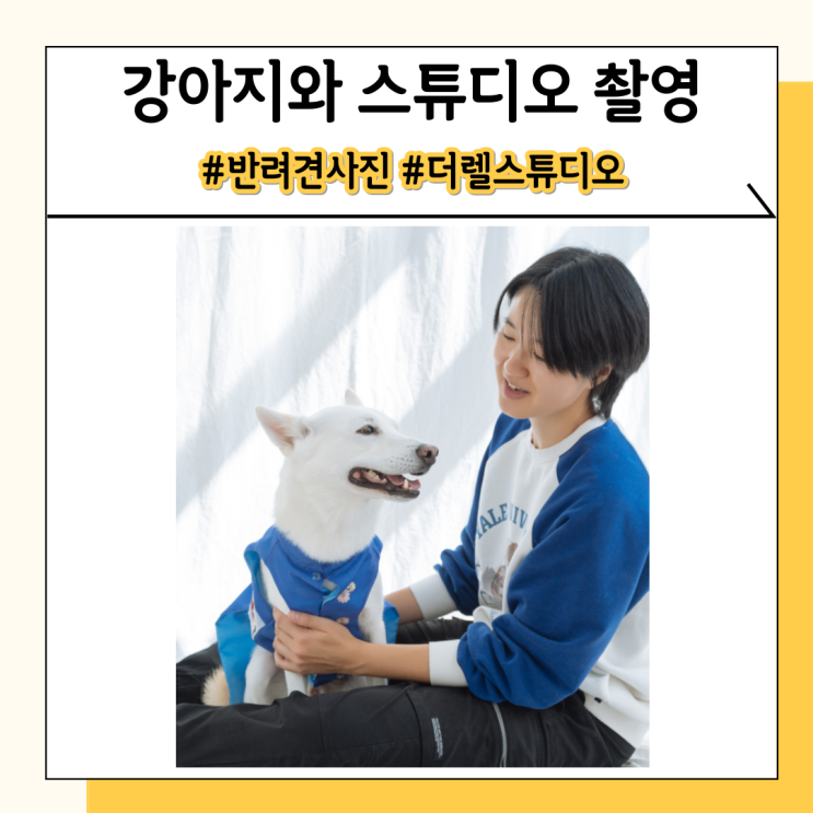 강아지가족사진 찍기 편안한 애견스튜디오 사진관 추천 강아지가족사진 찍기 편안한 애견스튜디오 사진관 추천