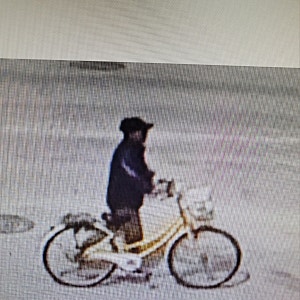 실종경보(김옥태)