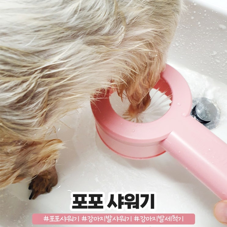 강아지 발 샤워기 강아지 산책 후 필수템 포포 샤워기 강아지 발 샤워기 강아지 산책 후 필수템 포포 샤워기