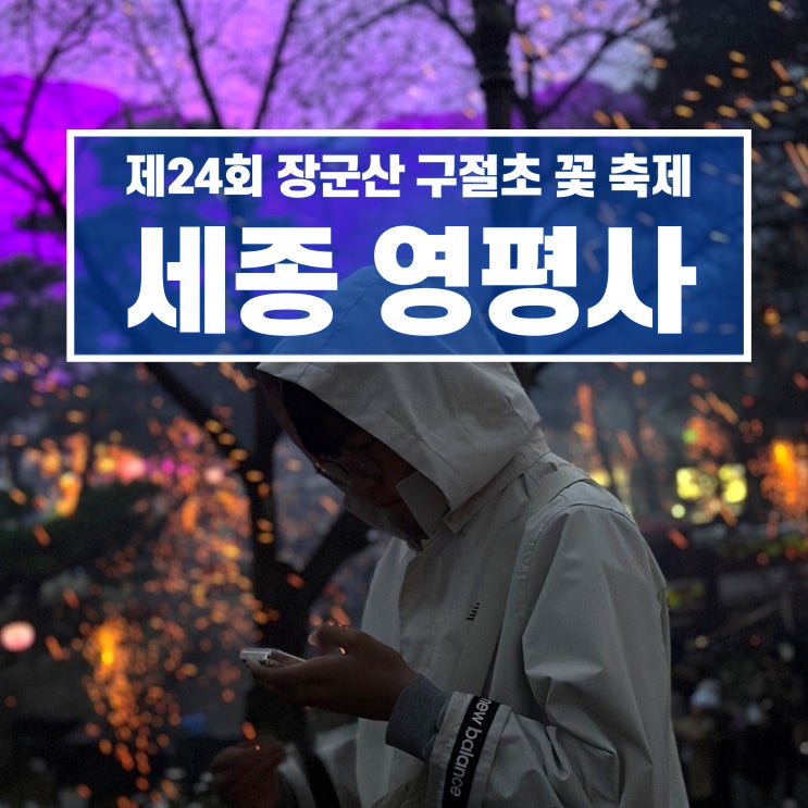  세종 영평사 구절초축제 낙화축제 가을 행사 가볼만한 곳 추천