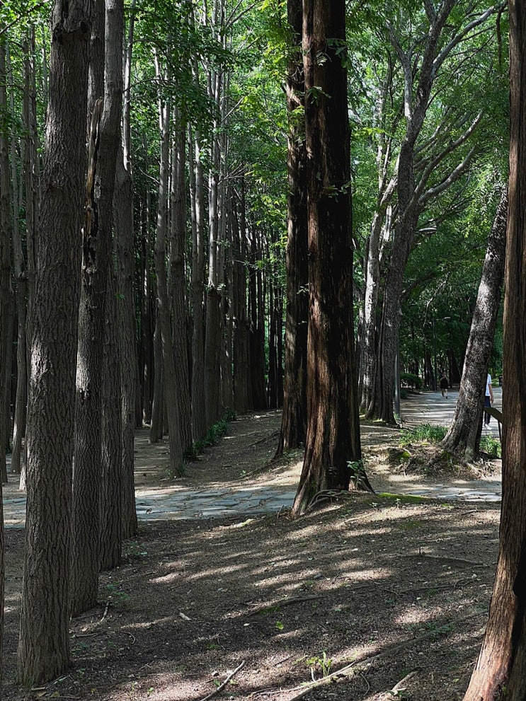 서울 가볼 만한 곳, 쉬어갈 수 있는 도시 산책로 [서울숲], 서울숲 근처카페