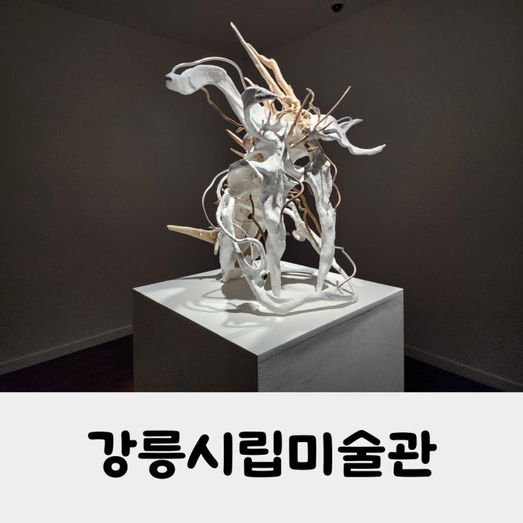  강릉시립미술관 제2회 강릉국제아트페스티벌 GIAF23 서유록 전시회 방문후기