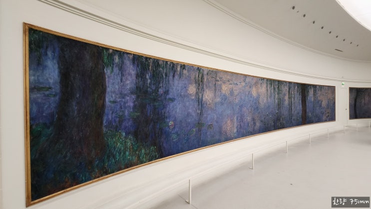  프랑스 파리 여행 1 : 오랑주리 미술관(Musée de l'Orangerie)과 모네의 수련