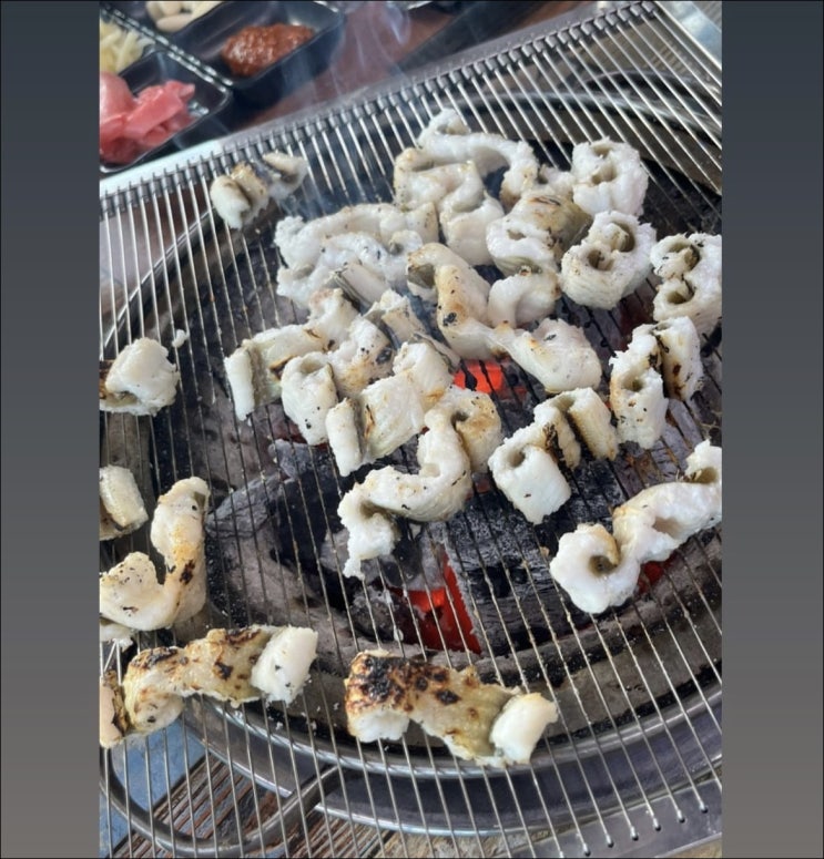  장어 구이 맛집 경주장어맛집 경주장어사랑