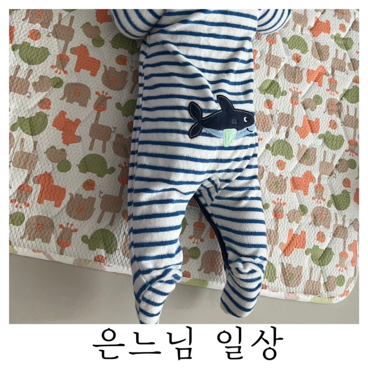  [은느님 일상]100일의 기적이 오길 바래보며 적어보는 일상 포스팅 : )