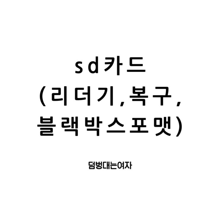  SD카드의 깊은 세계 : 복구, 마이크로 리더기, 블랙박스 SD카드 포맷 방법