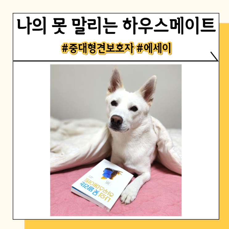 강아지키우기책 김소담 에세이 중대형견을 키우고 싶다면 필독 강아지키우기책 김소담 에세이 중대형견을 키우고 싶다면 필독