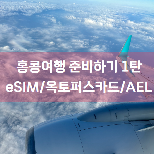 [10월 홍콩 여행] 예약 및 준비 1탄 (비용포함) "eSIM/옥토퍼스/AEL"