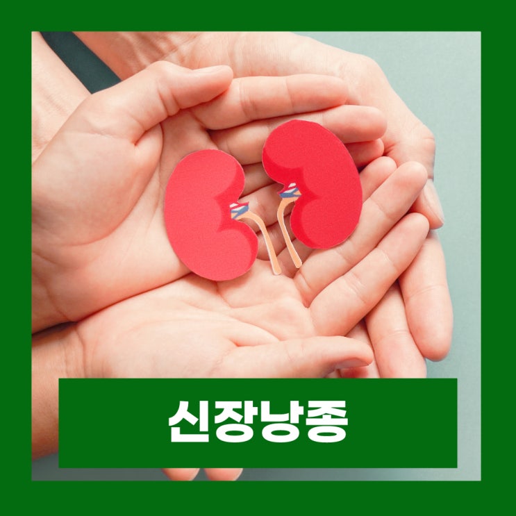  신장낭종 수술 콩팥 물혹 통증 증상 치료 신장암 발전가능성