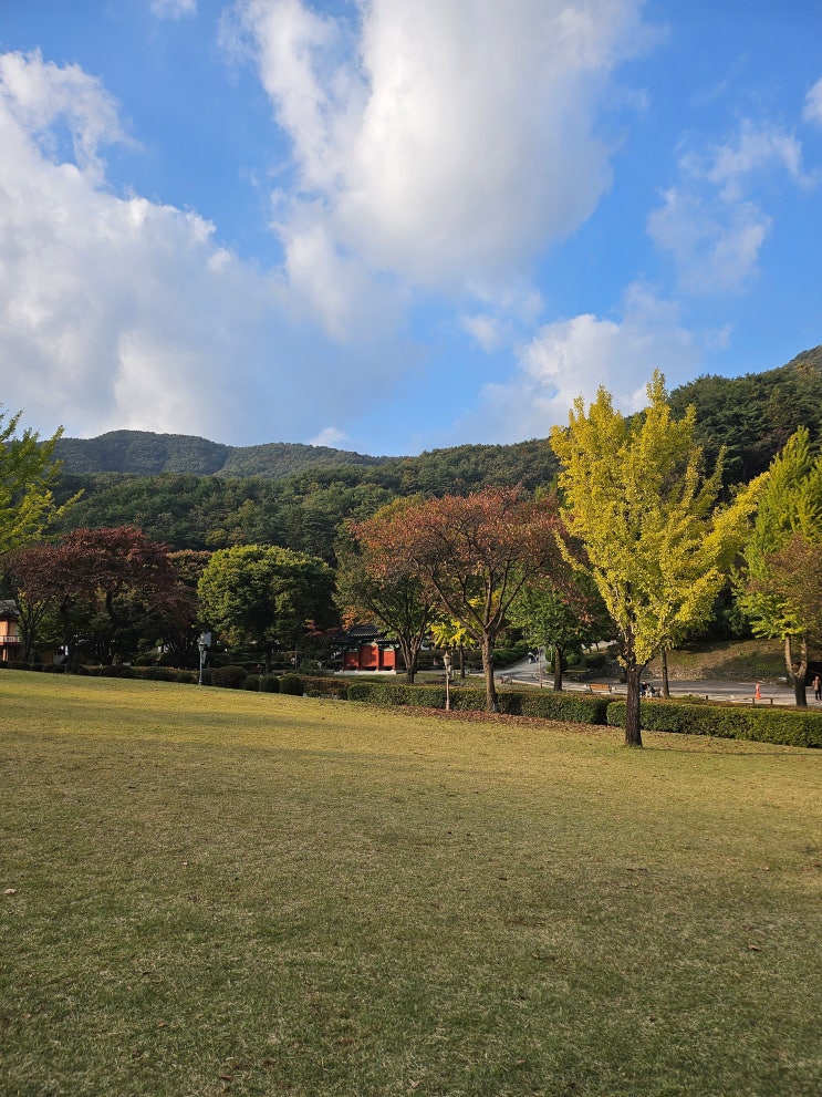  부동산임대사업자 쿠택스