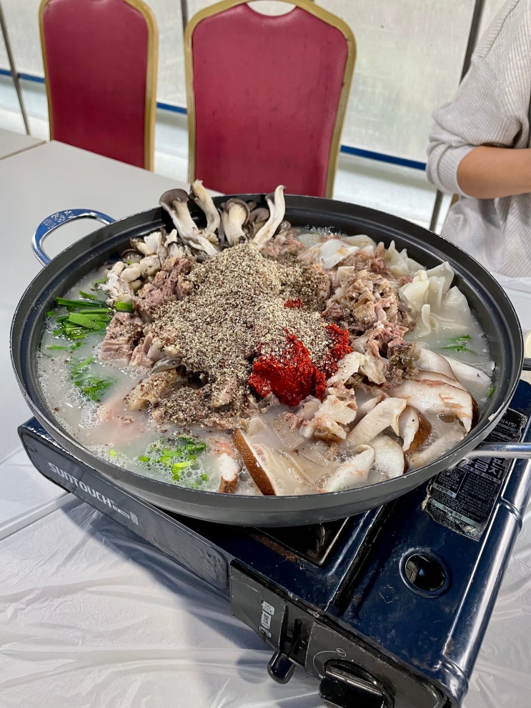 칠갑산 산지에서 풀먹고 뛰어노는 흑염소 팜스테이 체험농장 청양 송조농원 / 천안식후감