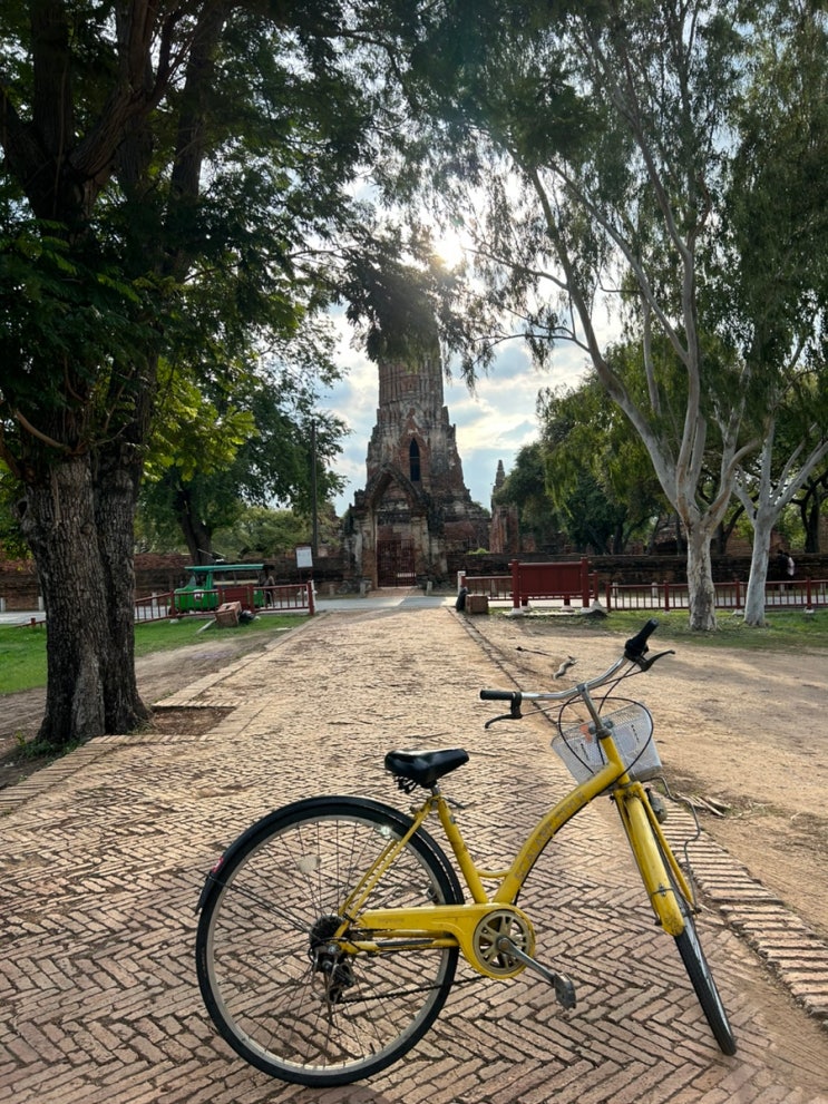 투어없이 방콕 근교 여행 : 자전거 타고 아유타야 유적지 둘러보기