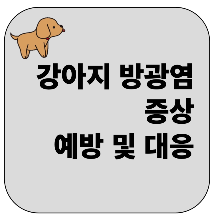  강아지 방광염 증상 어떻게 예방하고 대처할지 자세히 알아봐요.