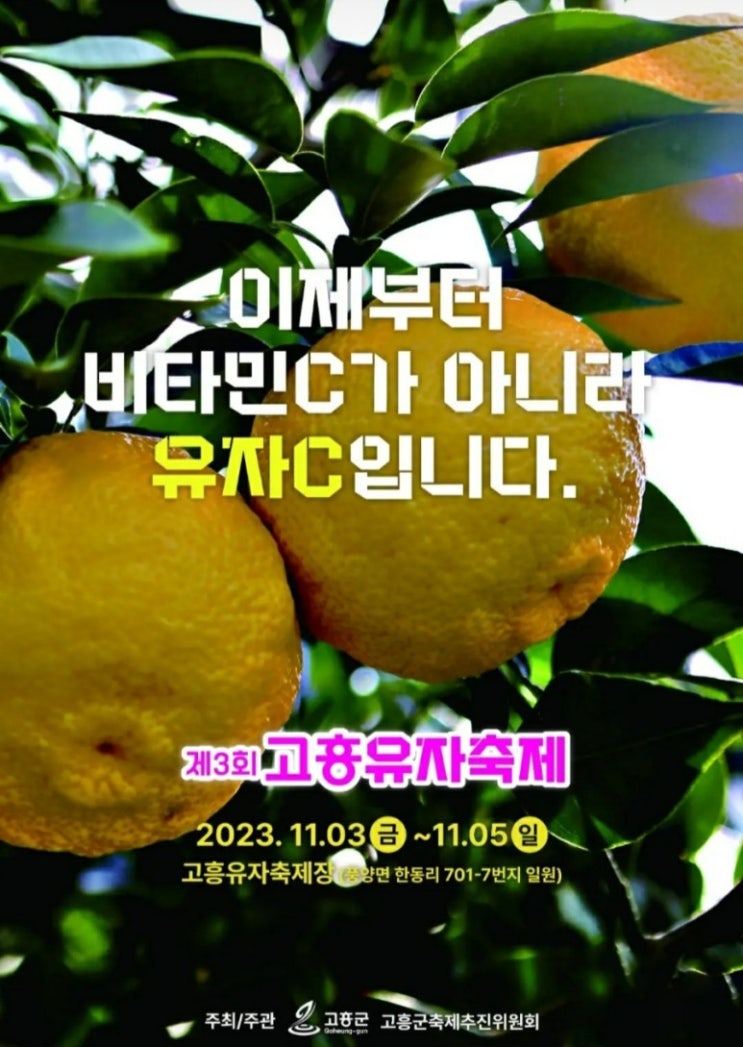 고흥유자축제 (23.11.03~23.11.05) 고흥유자축제 (23.11.03~23.11.05)