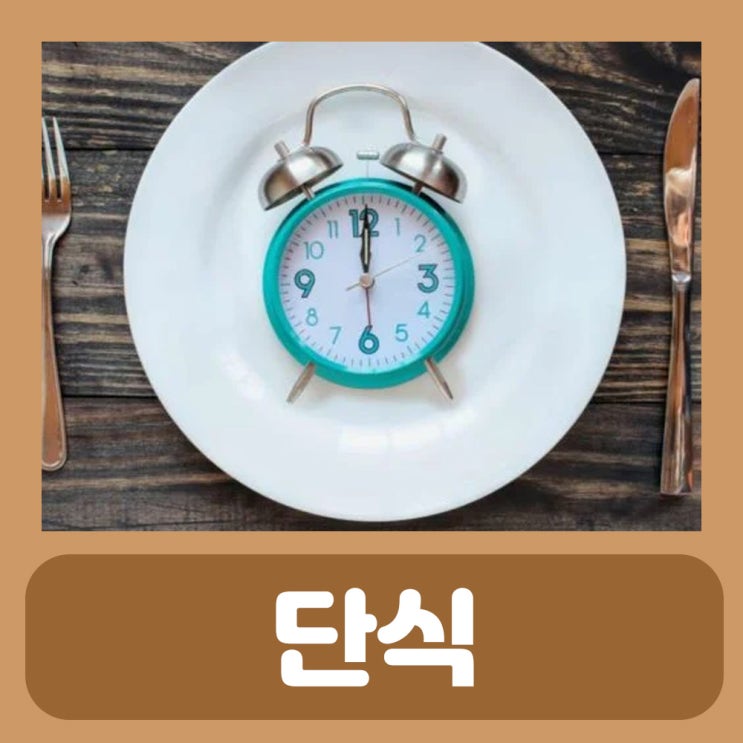  3일 물단식 간헐적 단식 오토파지 노화 방지와 다이어트