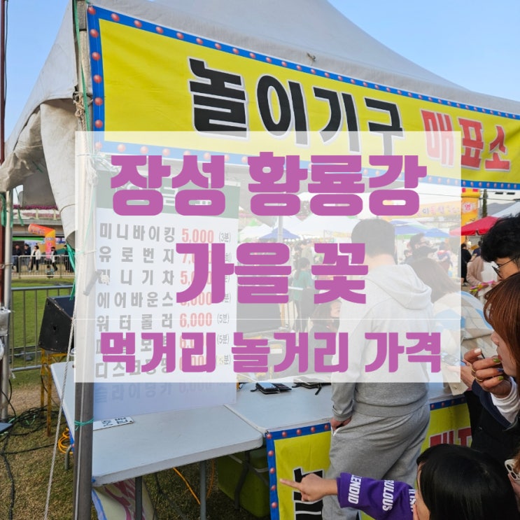  4살아이와 장성 황룡강 가을꽃축제 사진찍기'만' 좋은 곳 먹거리가격과 놀이기구가격 +솔직 후기