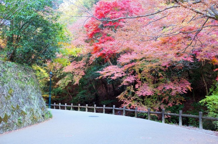 단풍이 멋진, 오사카 미노오 공원 여행