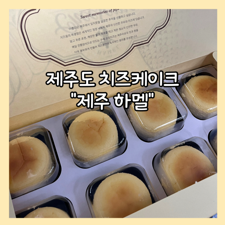  [제주] 치즈케이크 맛집 "제주하멜" 평일 오픈런 내돈내산