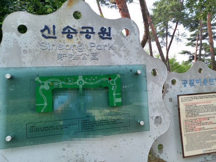 인천광역시 연수구 (송도동) 신송공원에서 찍은 사진입니다.