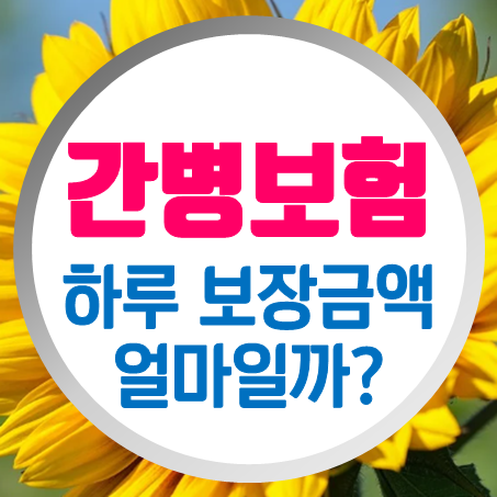  간병인보험 가입, 간병인을 사용하거나 간호간병통합서비스를 이용한 뒤 보장이 가능한 간병보험추천