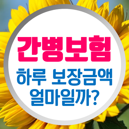 간병인보험 가입, 간병인을 사용하거나 간호간병통합서비스를 이용한 뒤 보장이 가능한 간병보험추천