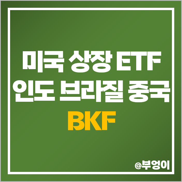중국 브라질 인도 증시 미국 ETF BKF 주식 인덱스 펀드 중국 브라질 인도 증시 미국 ETF BKF 주식 인덱스 펀드