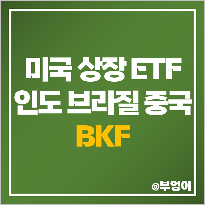 중국 브라질 인도 증시 미국 ETF BKF 주식 인덱스 펀드