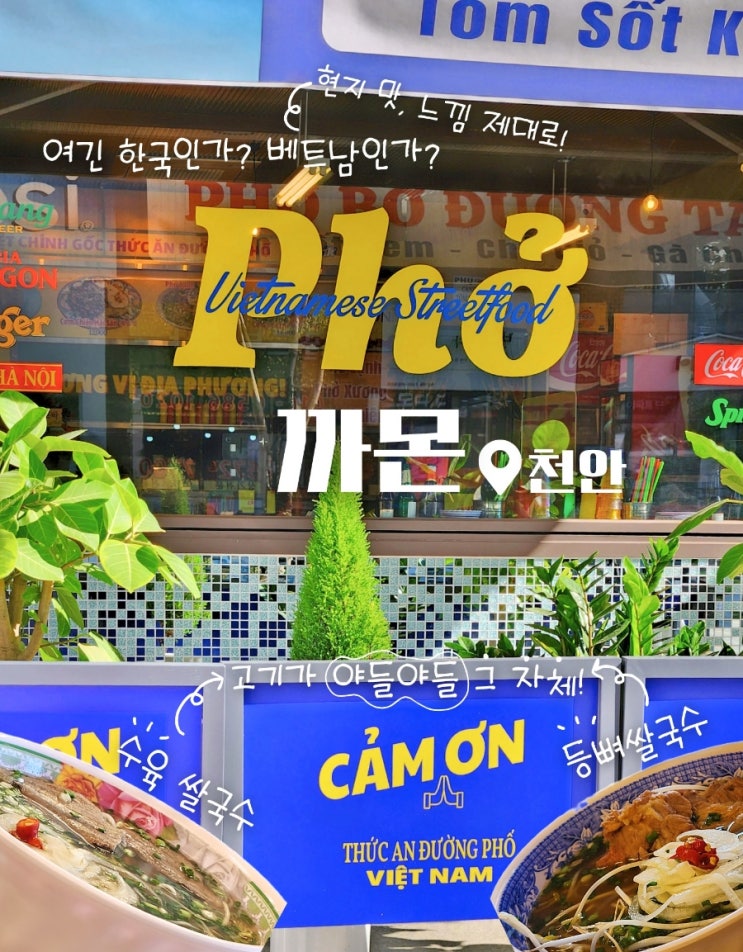 여기가 베트남이야? 천안 신불당 쌀국수 맛집 까몬