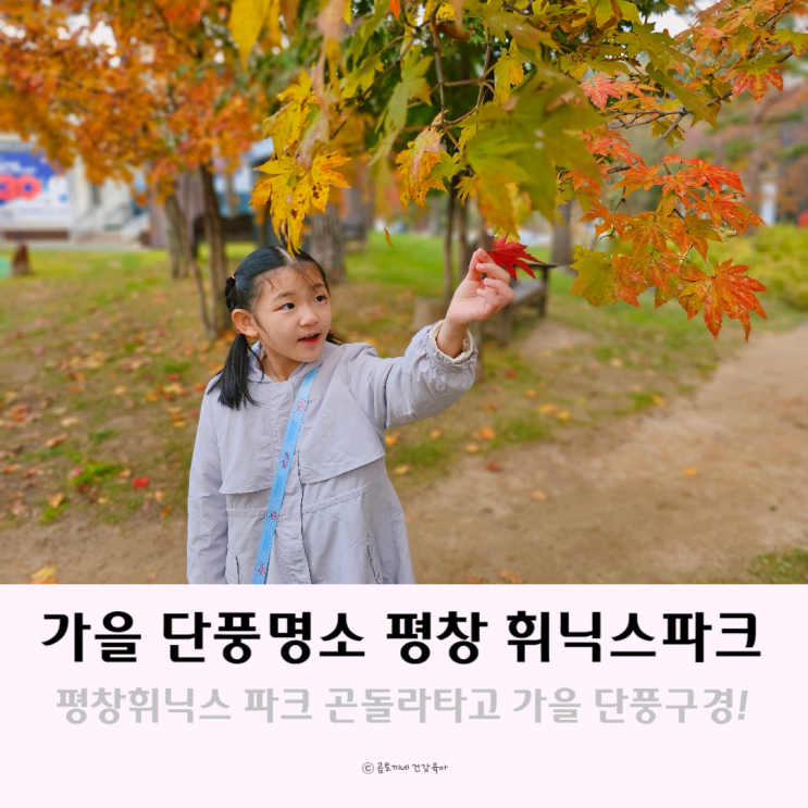 가을 단풍명소 평창 휘닉스파크 곤돌라타고 비온 날 단풍구경 가을 단풍명소 평창 휘닉스파크 곤돌라타고 비온 날 단풍구경