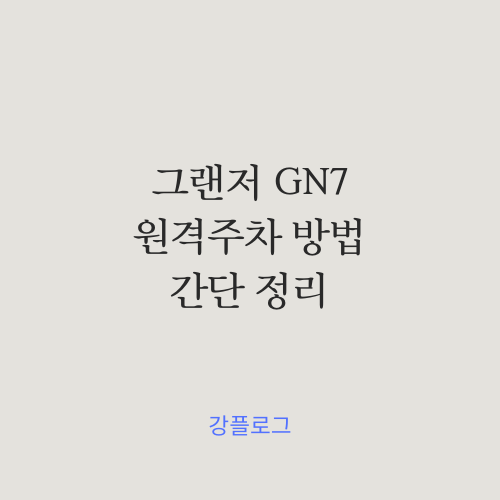  그랜저 GN7 원격 주차 방법feat.스마트 키