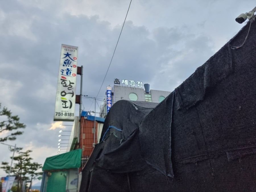 대어도활어회 사진 1