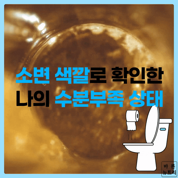 오줌색깔 오줌색 소변색으로 알아본 나의 건강상태는